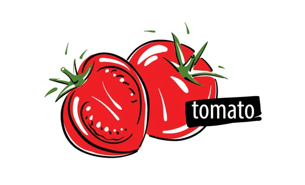 Rysunek wektor pomidor na białym tle — Wektor stockowy