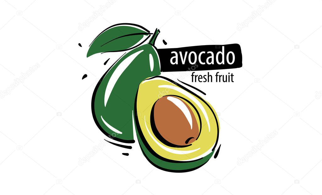 Drawn vector avocado on a white background