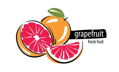 Beyaz arkaplanda greyfurt vektörü çiz