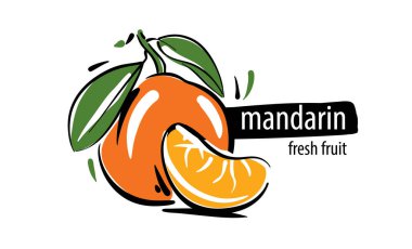 Drawn vector mandarin on a white background