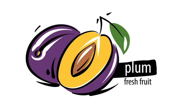 Drawn vector plum on a white background — Stok Vektör