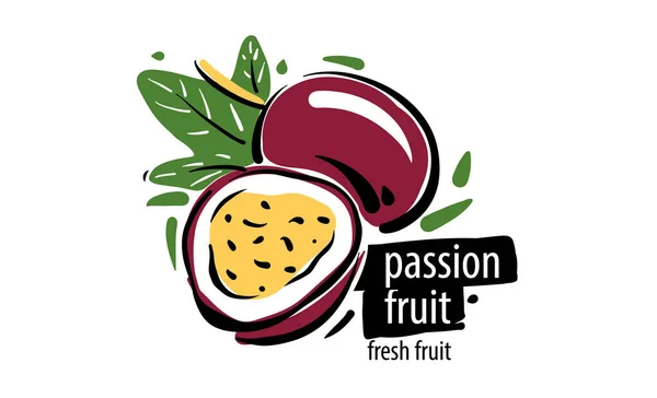 Drawn vector passion fruit on a white background — Stok Vektör