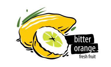 Drawn vector bitter orange on a white background