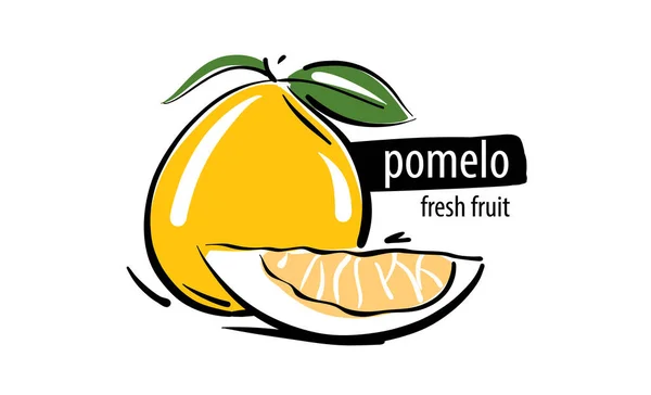 Drawn vector pomelo on a white background — Stock Vector