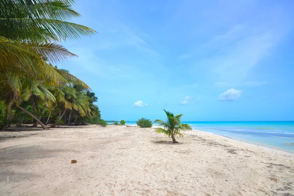 Dream beach