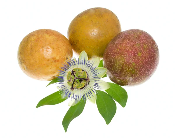 Passionflower on a maracuya — Stock Photo, Image