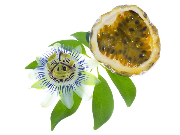 Çarkıfelek ile kesme maracuya
