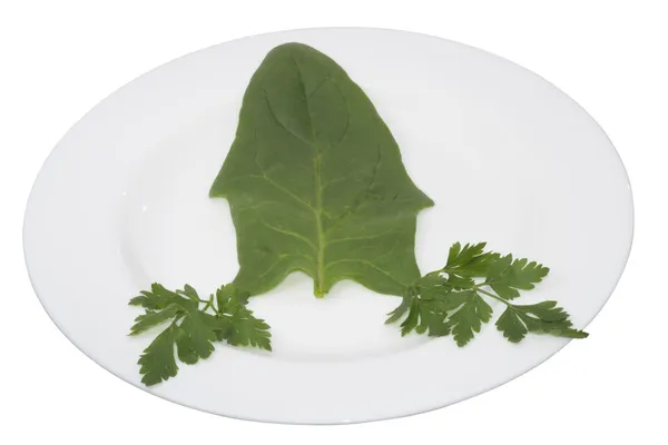 Yeşiller içinde izole bir tabak