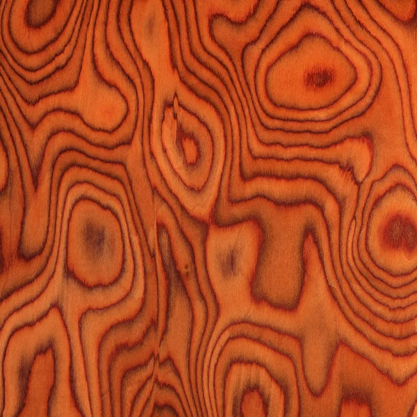 texture of root oak, wood texture