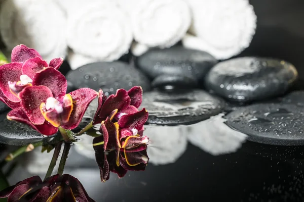 Beautiful spa setting of zen stones with drops and blooming twig