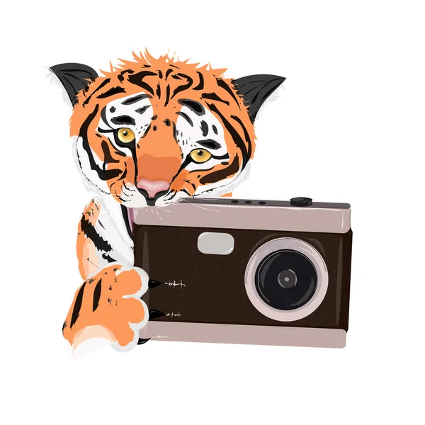 Tigres ilustração que rói fotoaparat . — Fotografia de Stock