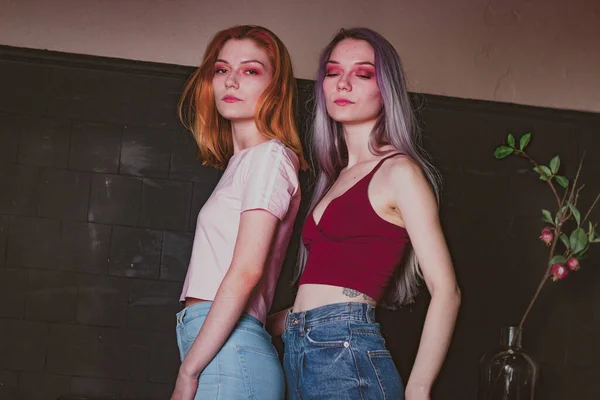 Irmãs Gêmeas Jeans Estúdio Fotos — Fotografia de Stock