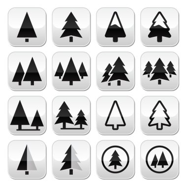 Pine tree vector buttons set clipart