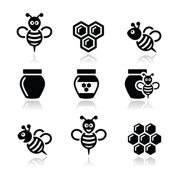 Bee and honey vector icons set