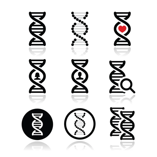 Dna の遺伝学のベクトル アイコンを設定 — ストックベクタ