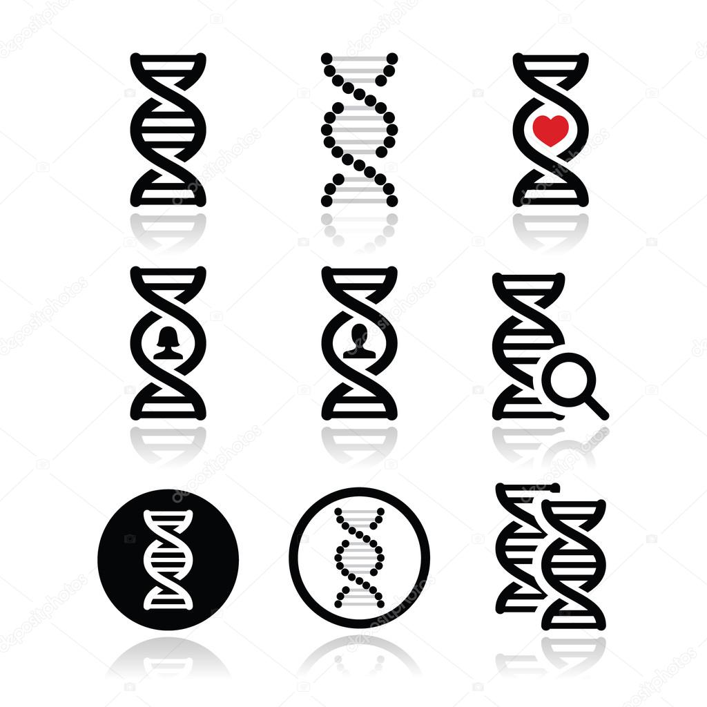 DNA, genetics vector icons set