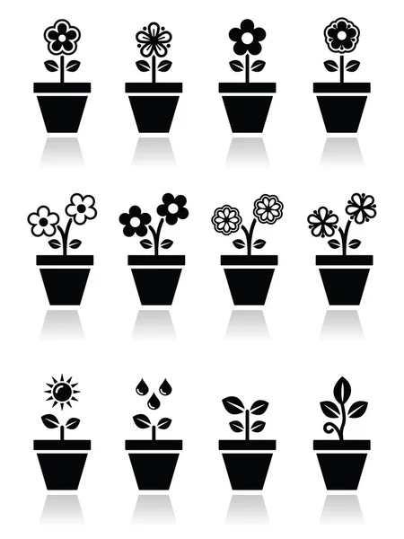 Bunga, tanaman di vektor pot ikon ditetapkan - Stok Vektor