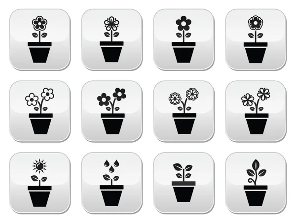 Flower, plant in pot vector icons set — Stock Vector