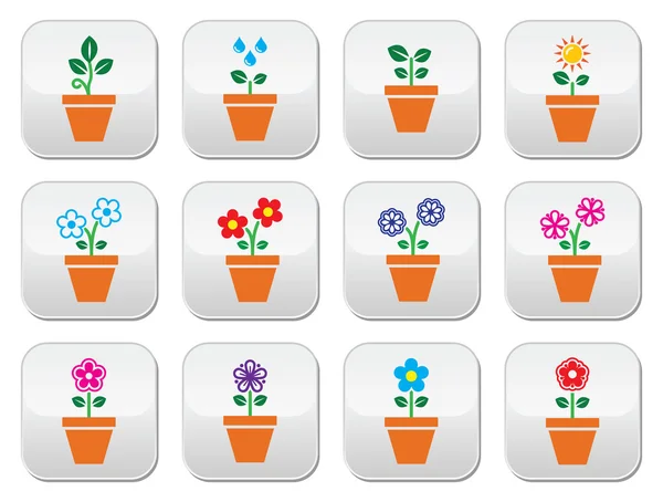 Flower, plant in pot vector colorful icons set — Stock Vector