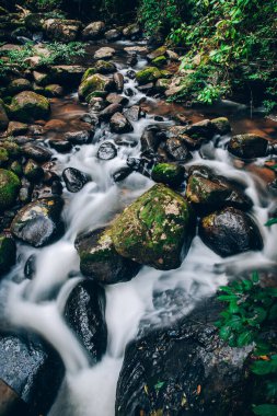 Şelale Tayland ormanında yer alıyor. Su kayalık bir uçurumdan bir havuza akar..