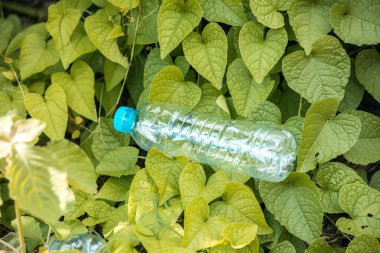 Plastik şişe çöpü yeşil çimenlere atılır. Bahçe parkında plastik şişeler. Yeşil çimlerin üzerindeki kullanılmış plastik şişe.