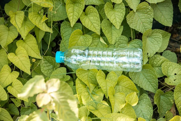 Bottiglia Plastica Rifiuti Spazzatura Viene Gettato Sull Erba Verde Bottiglie — Foto Stock