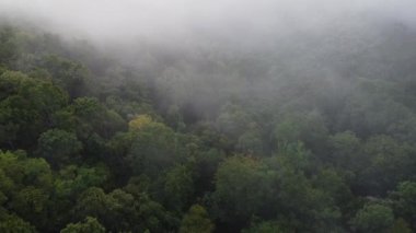 Beyaz sis ya da bulutlu manzaralı hava manzarası. Bulutlar arasında uçuyor ve dağın tepelerinde sis var..