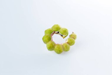Manila demirhindi meyvesi. Manila tamarind (Pithecellobium dulce) beyaz arkaplanda. Taze manila tamarind yemek için hazır..