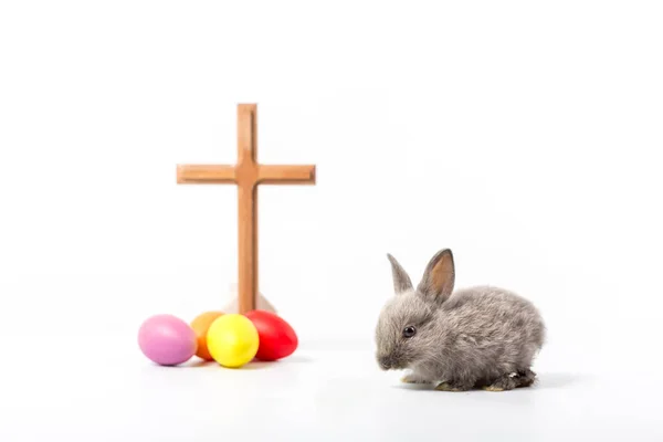 Lovely Bunny Easter Fluffy Baby Rabbit Easter Rabbit Cross — Stock Photo, Image