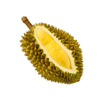 Durian, Tayland 'da bir meyve kralıdır. Meyvelerin kralı Durian. Beyaz arka planda sarı renk var. Tatlı tatlı ya da Tayland 'da atıştırmalık için olgun durian tropikal meyve yazı.