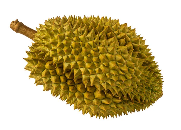 Durian Jest Królem Owoców Tajlandii Durian Król Owoców Żółty Kolor — Zdjęcie stockowe