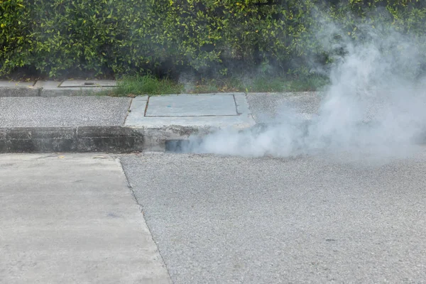 Sivrisineklerden kurtulmak için duman spreyi. Sivrisinek spreyleri, sis, gaz, kimyasal sızıntılar.