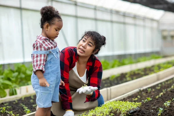 Mulher Menina Com Plantas Vegetais Conceito Agricultura Jardinagem Mãe Filha — Fotografia de Stock