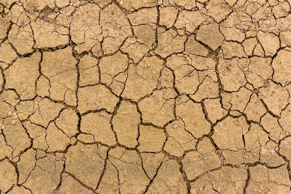 Gebarsten Aarde Gebarsten Modder Door Droogte Woestijn Droge Grond — Stockfoto