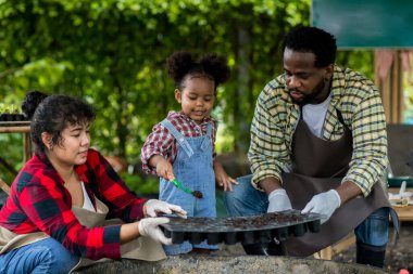 Kırsal kesimdeki sebze bahçesinde yaşayan Afro-Amerikan Ailesi. Anne, baba ve küçük kız bahçeye sebze ekiyorlar..