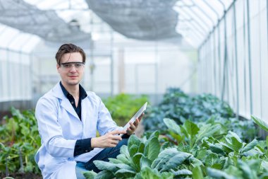 Bilim adamı Tablet kullanıyor. Sebze Bahçesi Laboratuvarı 'nda bilim adamı çalışıyor.
