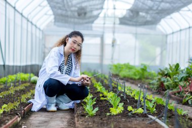 Bilim adamı Tablet kullanıyor. Sebze Bahçesi Laboratuvarı 'nda bilim adamı çalışıyor.