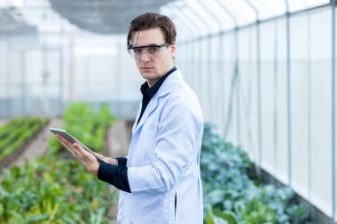 Bilim adamı akıllı telefon ve sosyal medya kullanıyor. Sebze Bahçesi Laboratuvarı 'nda bilim adamı çalışıyor.