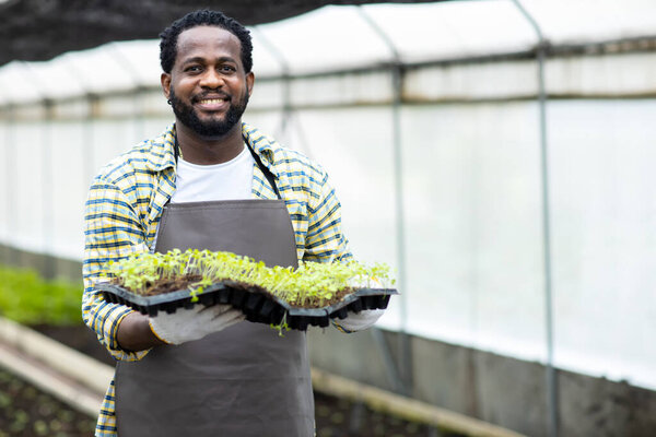 Человек в огороде. Человек сажает семена и саженцы в огороде.