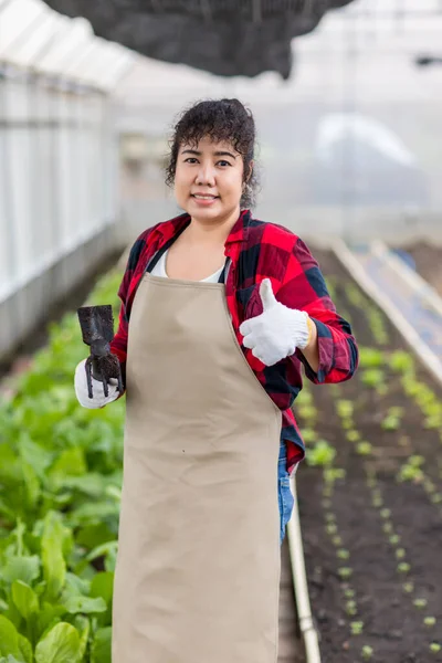 Uma Mulher Horta Mulher Plantando Sementes Mudas Horta — Fotografia de Stock