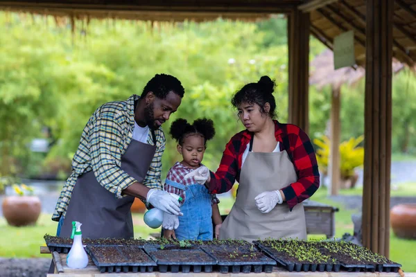 Familia Afro Americană Grădina Legume Țară Mamă Tată Fiică Plantând — Fotografie, imagine de stoc