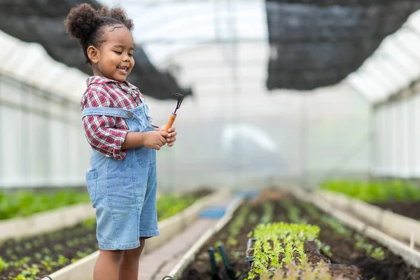 Criança Horta Menina Bonito Plantar Sementes Mudas Horta — Fotografia de Stock