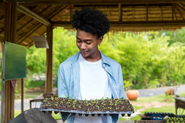 Homem Horta Homem Plantando Sementes Mudas Horta — Fotografia de Stock