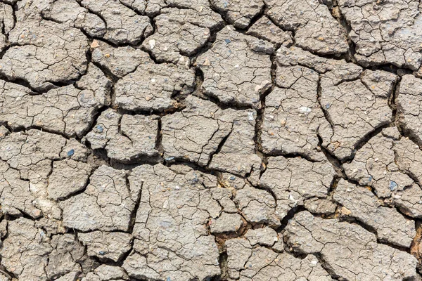 Gebarsten Aarde Gebarsten Modder Door Droogte Woestijn Droge Grond — Stockfoto
