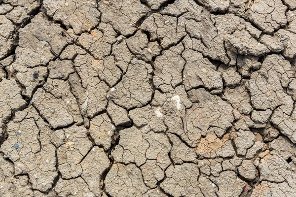 Gebarsten Aarde Gebarsten Modder Door Droogte Woestijn Droge Grond — Stockfoto