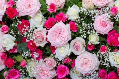 Gül arkaplanı, çiçek duvarları arka plan, düğün dekorasyonu. Doğal çiçek duvarı arkaplanı.