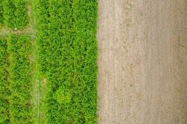 Top View Different Agriculture Fields Countryside Spring Day — Stock Photo, Image