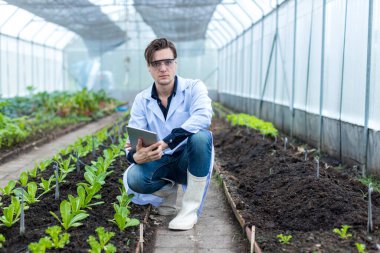 Scientist using Tablet or Smart Phone. Scientist work at Vegetable Garden Lab site.