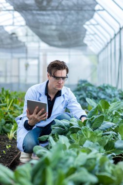 Scientist using Tablet or Smart Phone. Scientist work at Vegetable Garden Lab site.