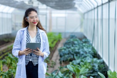 Scientist using Tablet or Smart Phone. Scientist work at Vegetable Garden Lab site